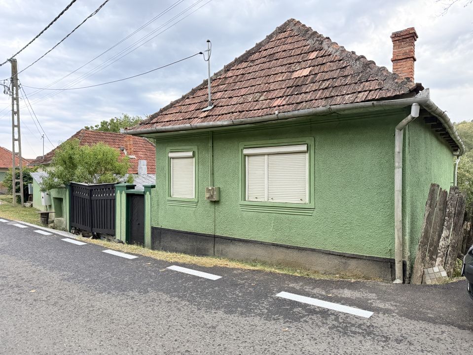 Casă în Cricău cu 1.375 mp teren, anexe, utilități, vie și livadă - Oportunitate – fotografia 3 din 54