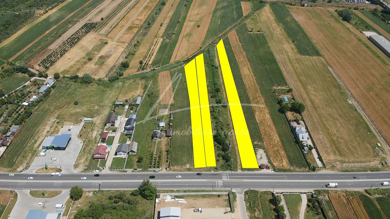 Teren cu potențial de dezvoltare –7427 mp în Argeșelu, Mărăcineni, județul Arges – fotografia 4 din 11