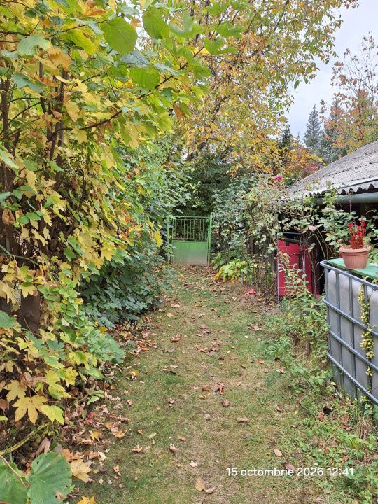 Teren intravilan Tocile, 1.093 mp / livadă, cabană, rulotă și o toamna frumoasă! – fotografia 11 din 37