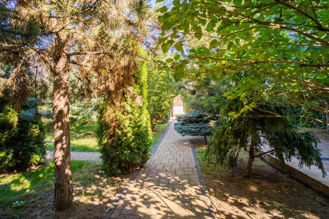 Vilă Grandioasă 650 mp+Spațiu Comercial 110 mp Tătărași Teren 968 mp – fotografia 20 din 20