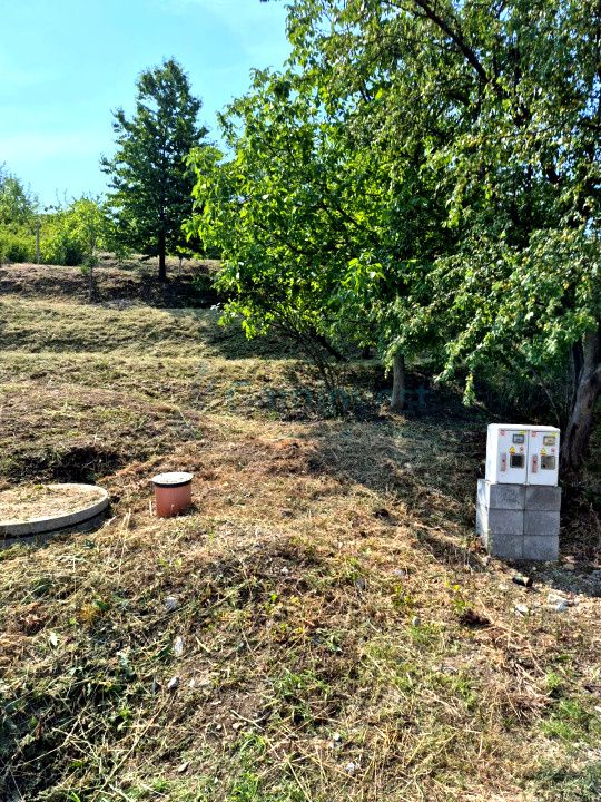 Teren in zona verde aproape de oras, zona Doja, Oradea – fotografia 4 din 9