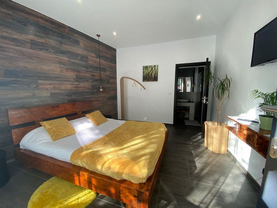 Casa Lux Mediteraniana cu 1620 mp. teren mobilata utilata CETATE cazare pensiune – fotografia 12 din 52