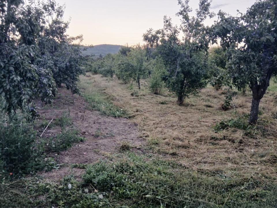 Teren de vânzare în Topoloveni | Zonă liniștită, aproape de oraș – fotografia 4 din 5