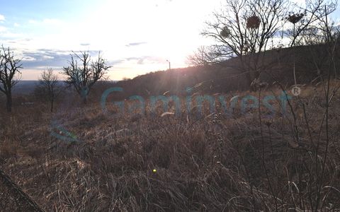 Teren intravilan de 3250 mp in Podgoria, de vanzare, Bihor