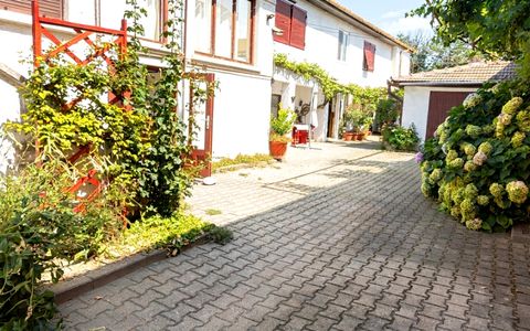 Sebeș Centru – Casă cu suflet 7 Camere 700 mp Teren 2 Garaje Curte Gradină
