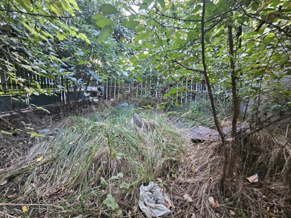 Casă de vânzare în Câmpinița – strada Dunării | 95.000 €-Oportunitate investitii – fotografia 33 din 34