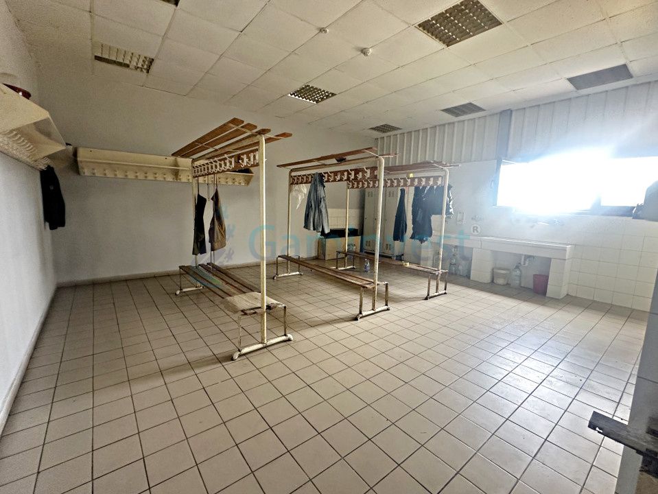 Hala de productie sau depozitare,de inchiriat,2 minute de Calea Borsului,Santion – fotografia 7 din 9