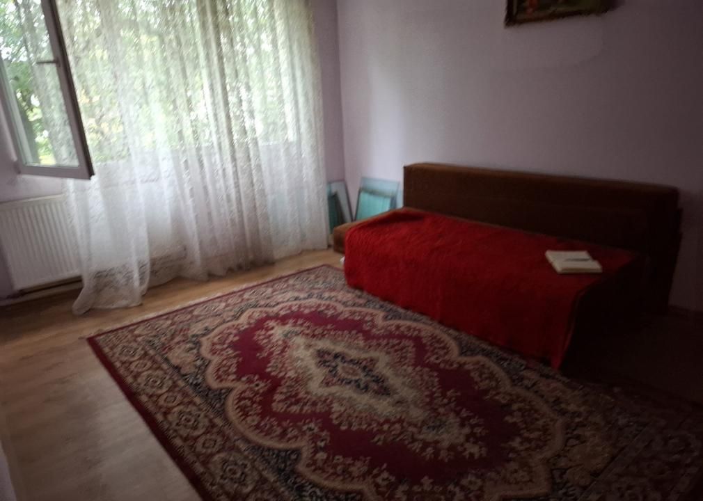Rahova-3 camere Teius – fotografia 7 din 9
