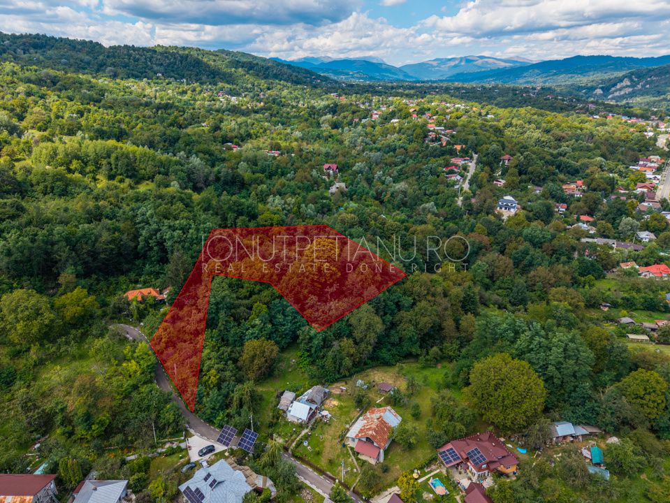 Teren 3.886 mp, Breaza - Podu Vadului, 30 m deschidere la asfalt – fotografia 2 din 16