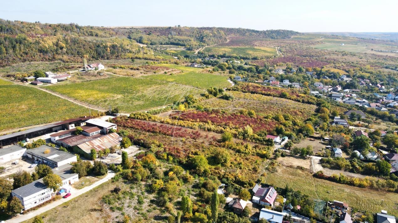 Teren intravilan de 1.800 mp, lângă cramă, Viișoara, Ștefănești, Argeș – fotografia 9 din 11