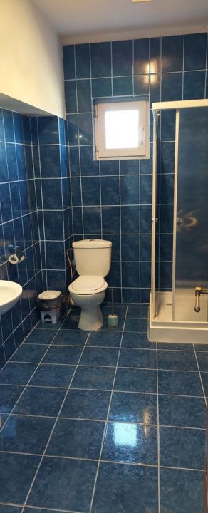 Pensiune 9 camere în Valea Mare Bratia, com. Balilești, jud. Argeș – fotografia 6 din 9