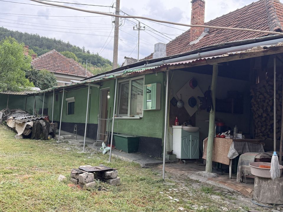 Casă în Cricău cu 1.375 mp teren, anexe, utilități, vie și livadă - Oportunitate – fotografia 12 din 54