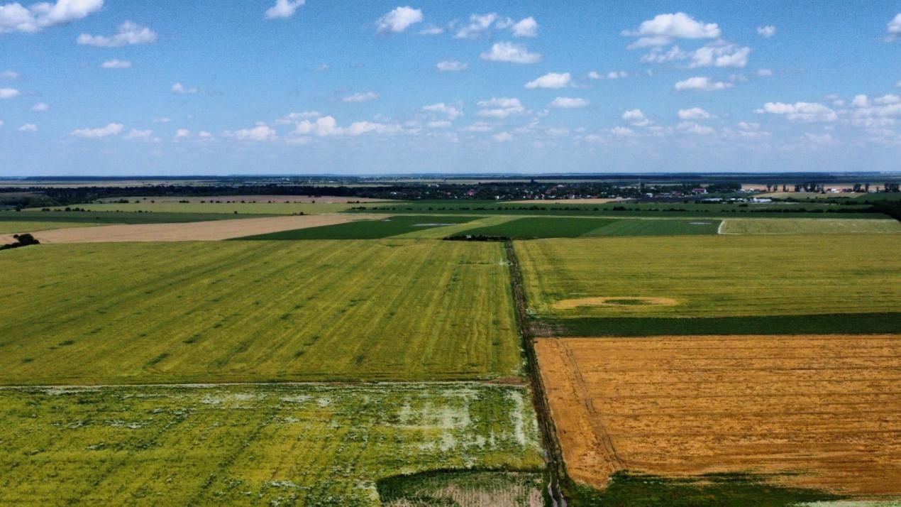 Teren Intravilan 20.000 mp Creața Dascălu, T66– dubla deschidere – fotografia 6 din 7
