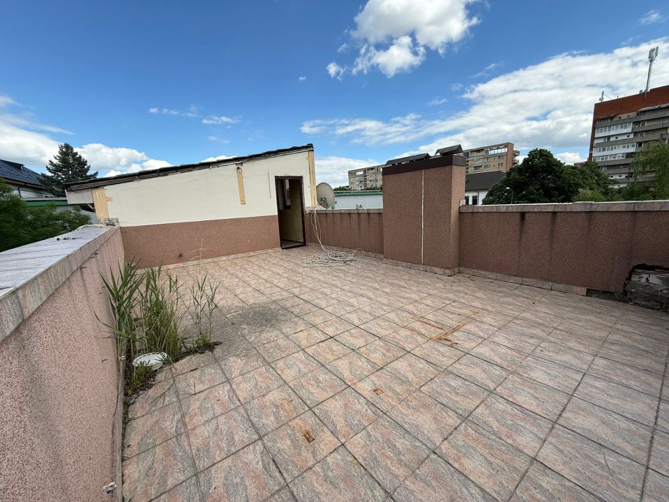 Casa, D+P+M, 435,16 mp, Centru, Zona KM 0 – fotografia 5 din 29
