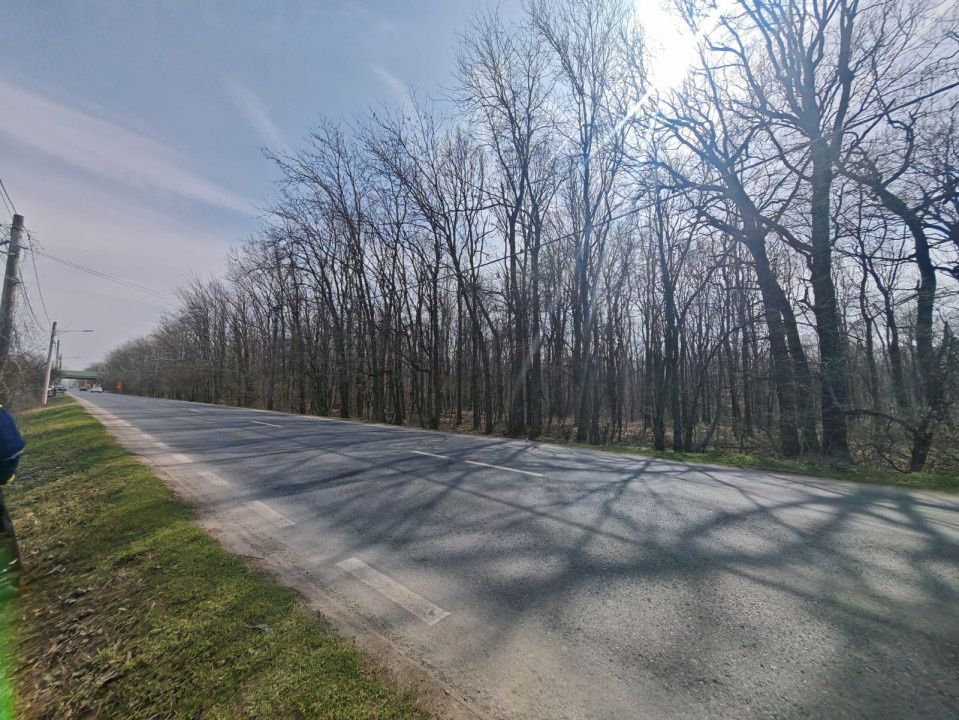 OPORTUNITATE -Teren de Vis la Marginea Pădurii – 5000 mp în Ciorogârla – fotografia 5 din 7