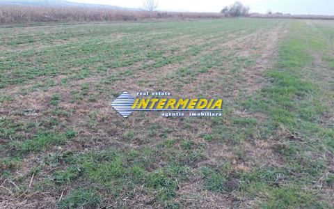 Teren Intravilan 5000 mp Zona Soseaua de Centura, Alba Iulia