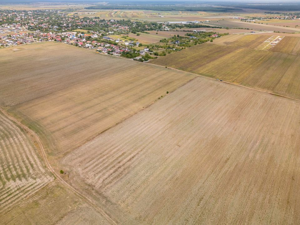 DASCALU - TEREN INTRAVILAN 7500 MP, INVESTITIE! – fotografia 17 din 17