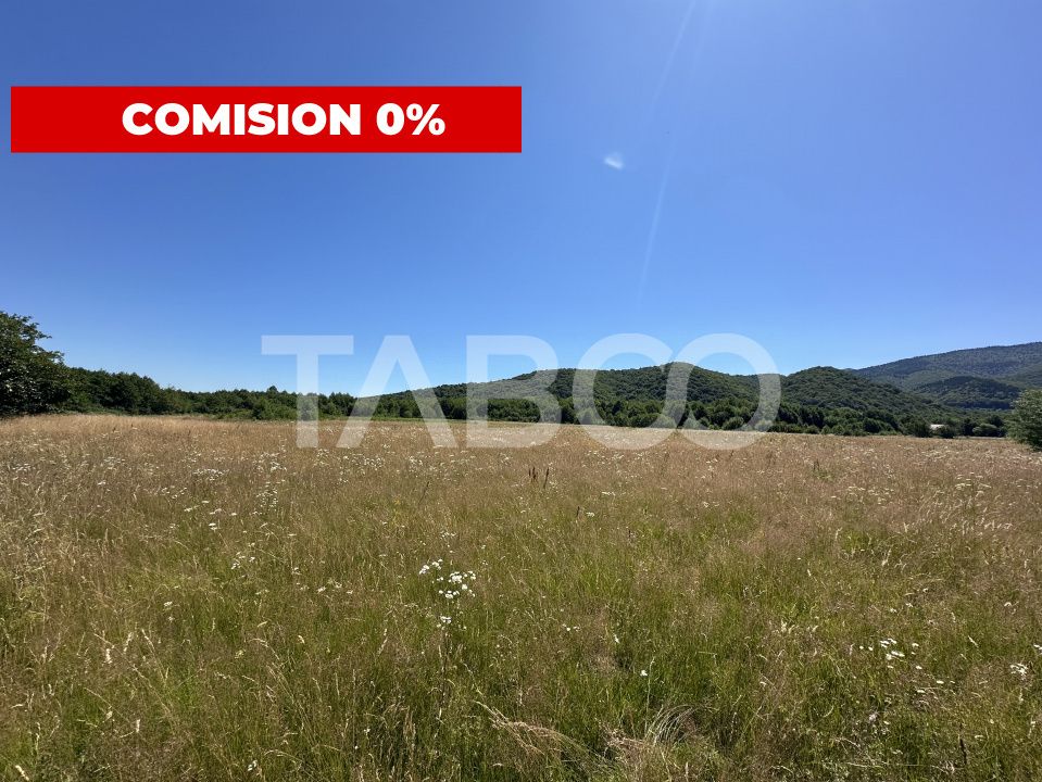 Teren extravilan 1900 mp cu utilitati in apropiere pe Valea Sebesului – fotografia 1 din 3