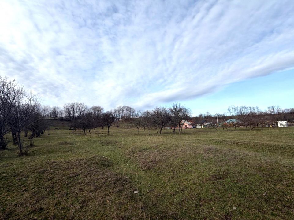 Teren intravilan Vălenii de Munte – 3.000 mp Ideal investiție sau locuinta – fotografia 7 din 29
