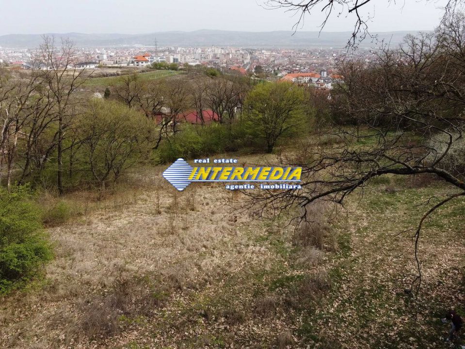 TEREN Intravilan pentru div Motel Pensiune Clinica locuinta in mijlocul padurii – fotografia 2 din 2