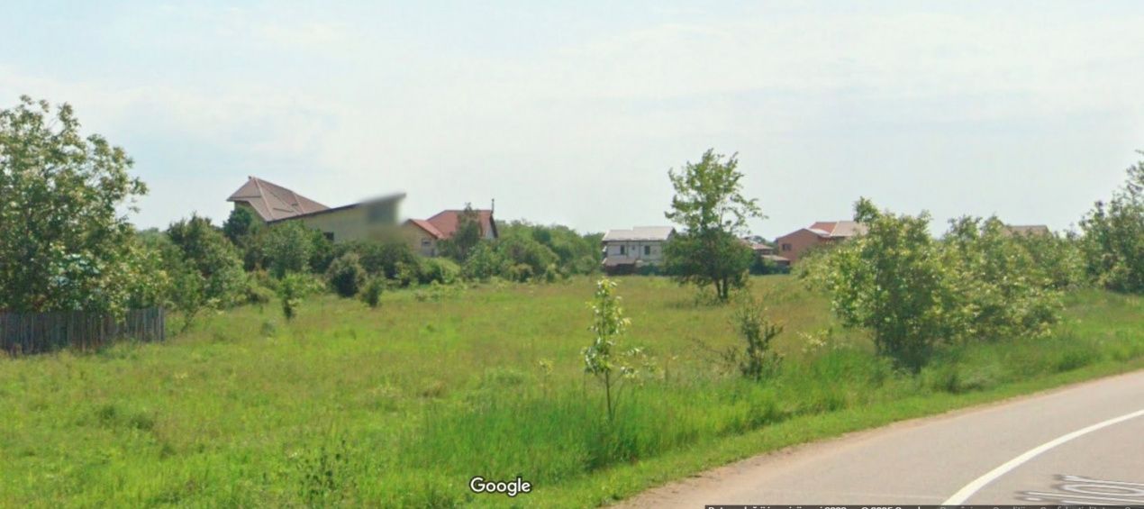 Teren intravilan 5.293 mp-deschidere 42m–Domnești Ilfov, utilități la limita – fotografia 2 din 4