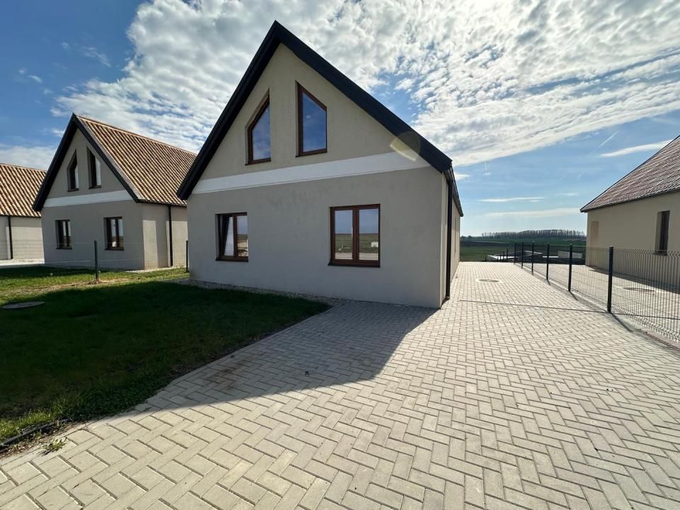 Casa Individuala in Sanandrei | 3 camere | Toate utilitatile | Asfalt – fotografia 1 din 15