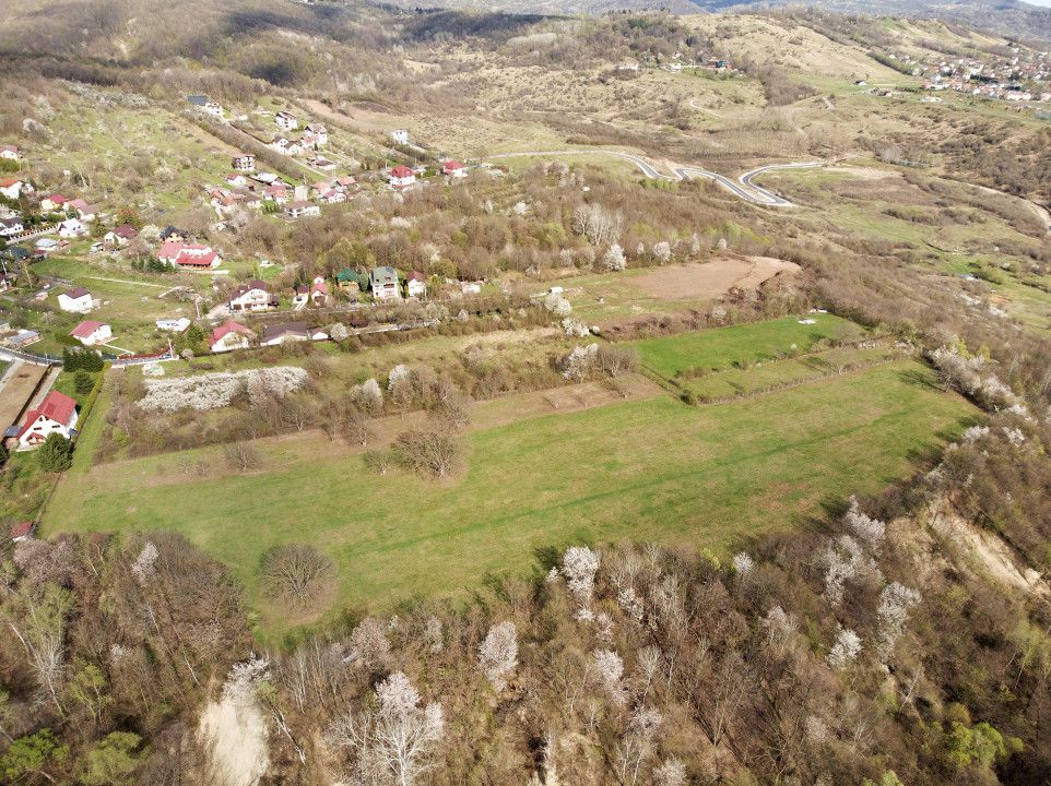 Mountain Plateau - 23.345 SQM - Exclusive Estate | Jud Prahova - Valea Prahovei – fotografia 10 din 10