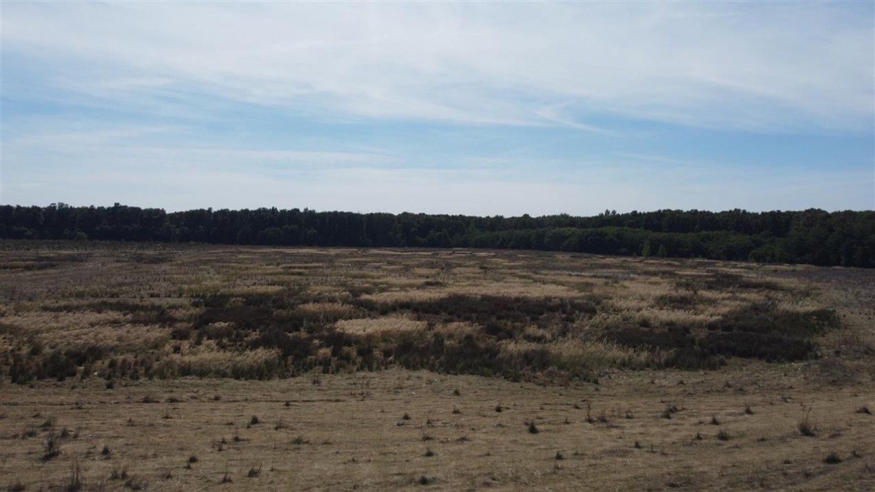 ✨Teren Voluntari-Pipera | 3.700mp | Zonă Pădure & Școli Internaționale✨ – fotografia 5 din 8