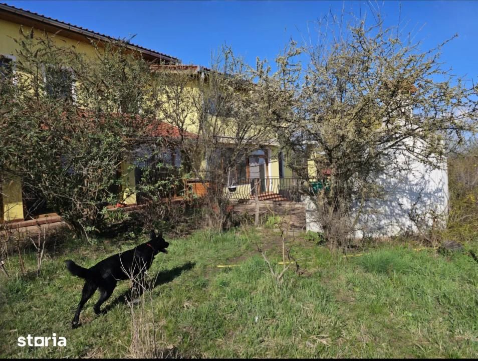 Casă individuală D+P+E, 408 mp utili, teren 2.300 mp, Tureni - Cluj – fotografia 13 din 16