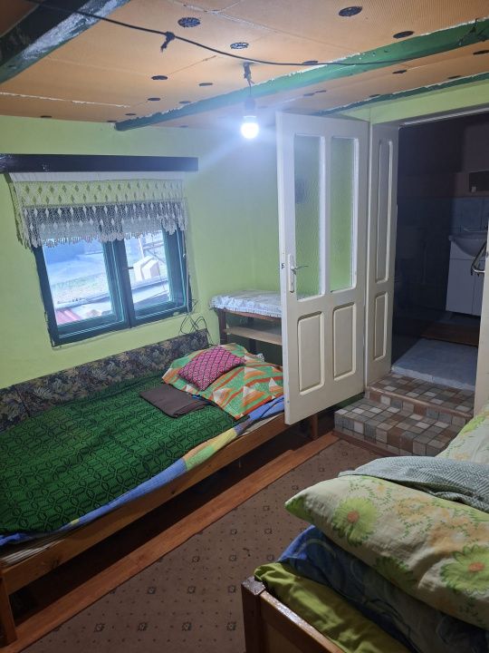 Casă în Cricău cu 1.375 mp teren, anexe, utilități, vie și livadă - Oportunitate – fotografia 37 din 54