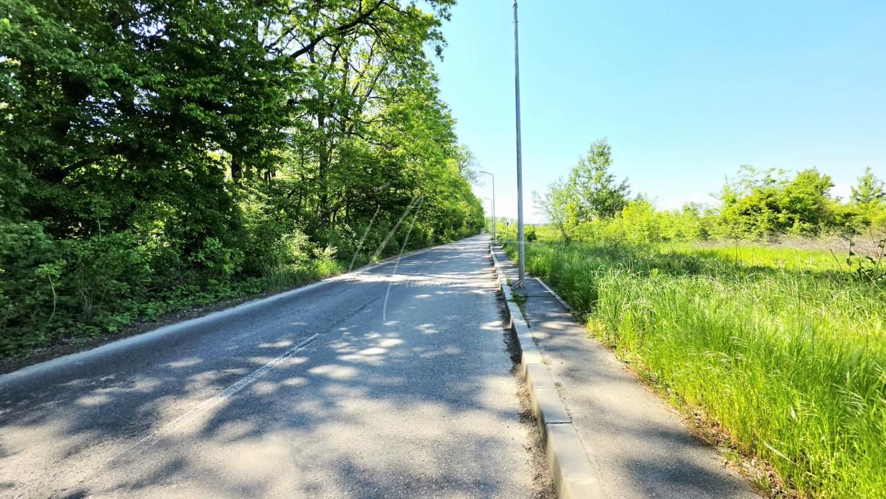 Teren intravilan, 2 fronturi, Drumul Padurea Pustnicu 65 - Greenfield – fotografia 23 din 43