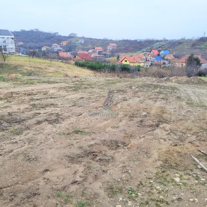Vanzare Teren intravilan 3133 mp strada Sofiei, Oradea, Bihor - Exclusivitatate – fotografia 2 din 7