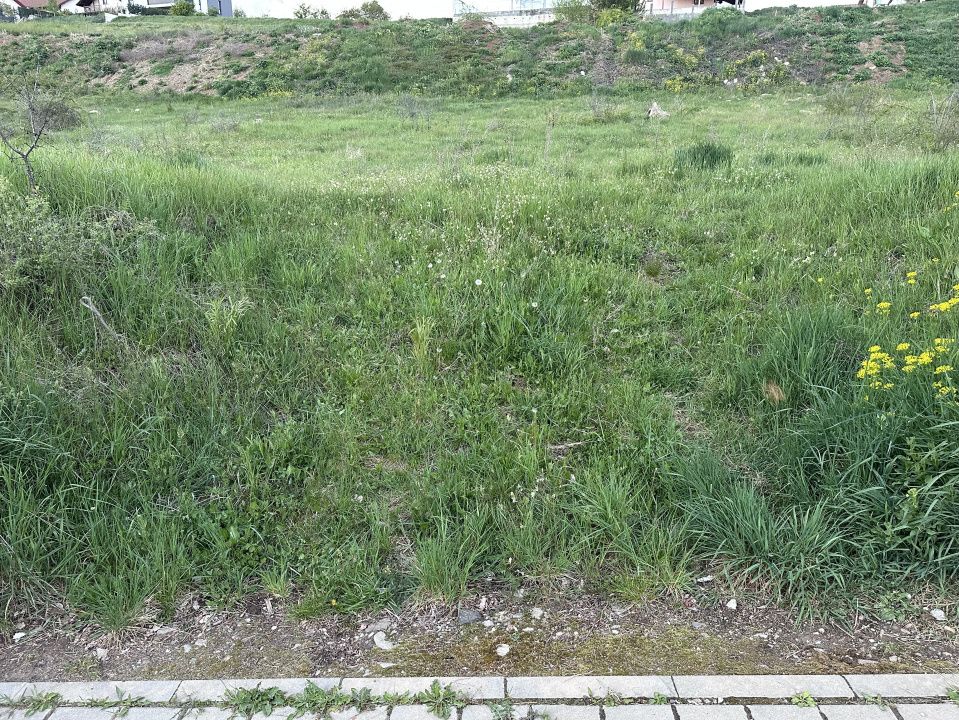 TEREN INTRAVILAN I 2900 MP I IDEAL PENTRU CONSTRUCTIE BLOCURI I P+ 3 I – fotografia 1 din 3