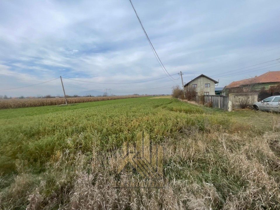 Vanzare-Teren-intravilan-6250mp-Calea-Feldioarei-Stupini-Brasov – fotografia 5 din 5