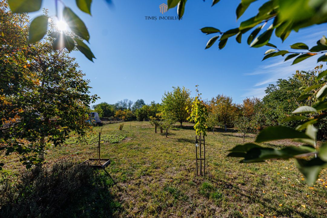 Casă individuală, teren 1.929 mp, acces spre Bega – Remetea Mare – fotografia 6 din 43