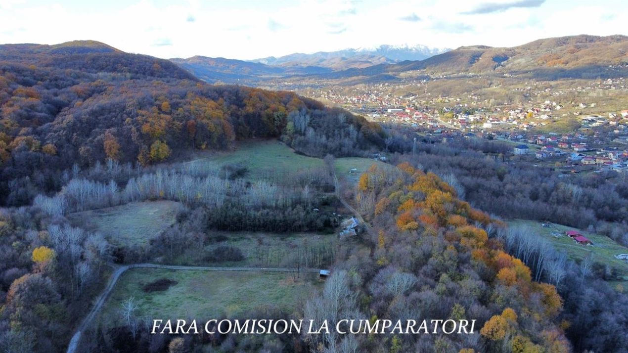 PADURE LANGA ORAS ACCES BUN IDEALA PENTRU ACTIVITATI DE AGREMENT – fotografia 7 din 13