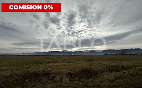 Teren extravilan 4900 mp de vanzare zona Calea Surii Mici Sibiu
