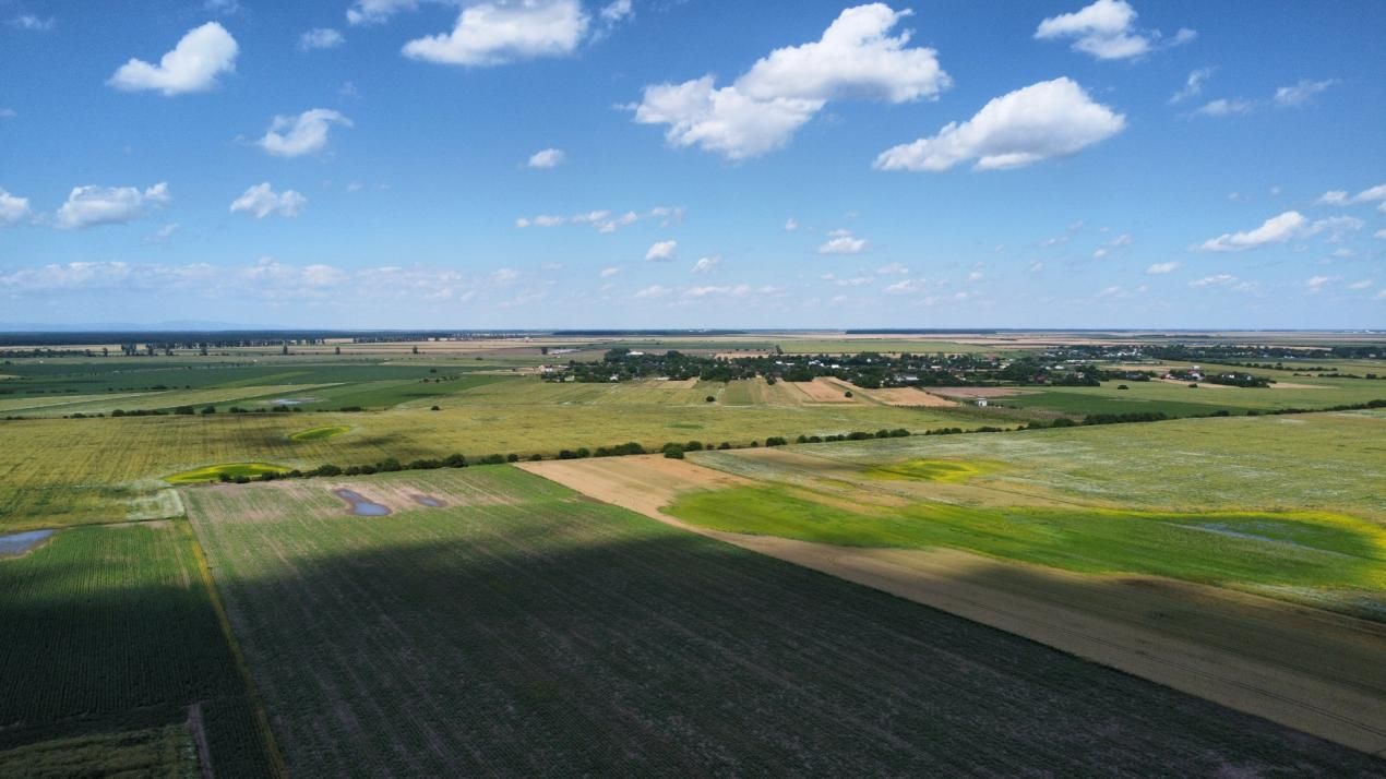 Teren Intravilan 9.918 mp Creața Dascălu, T66– Parcelabil – fotografia 10 din 12