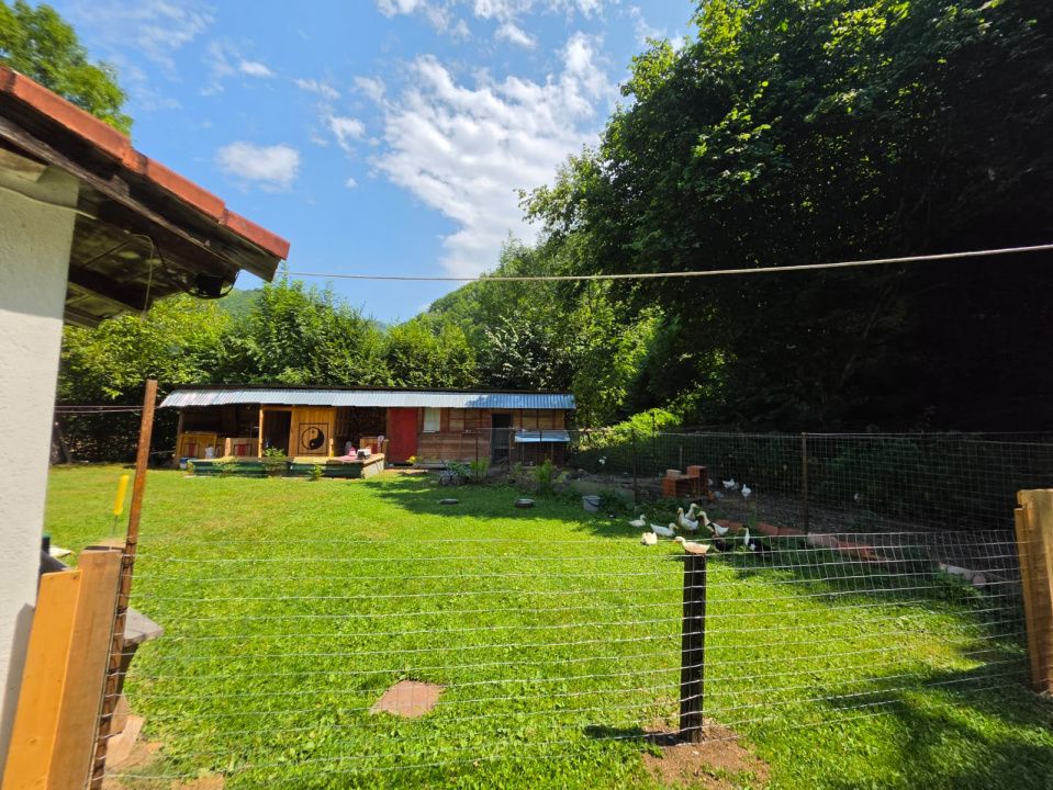 🏡 PROPRIETATE EXTRAORDINARĂ– LOTRIOARA, JUDEȚUL SIBIU! 🌲 – fotografia 8 din 72