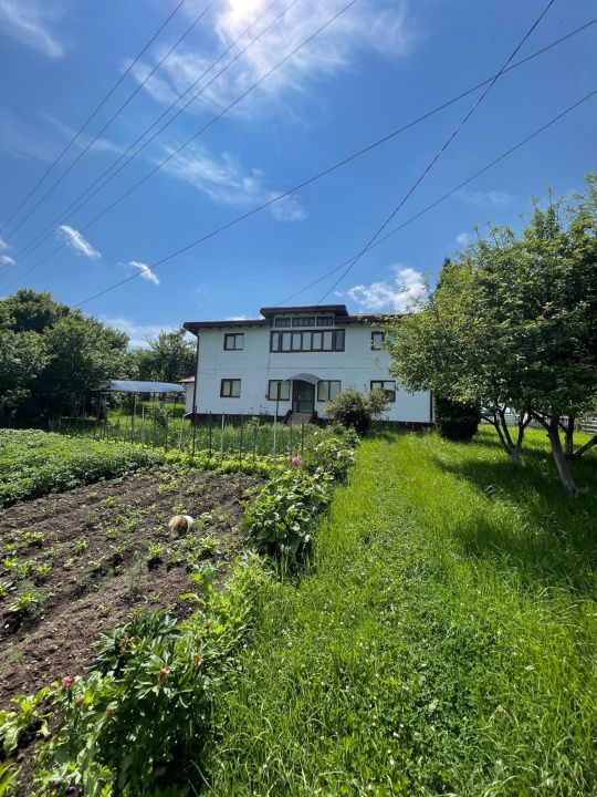 🏡 Oportunitate unică de investiție în inima naturii – VATRA DORNEI – fotografia 4 din 20