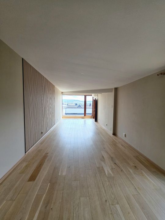Casa reprezentativa in Gruia, vedere spre Cluj Arena – fotografia 8 din 28