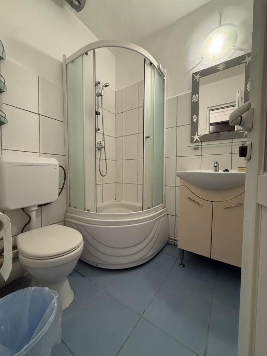 Apartament cu o camera, renovat, etaj 1 - Iosefin – fotografia 4 din 6
