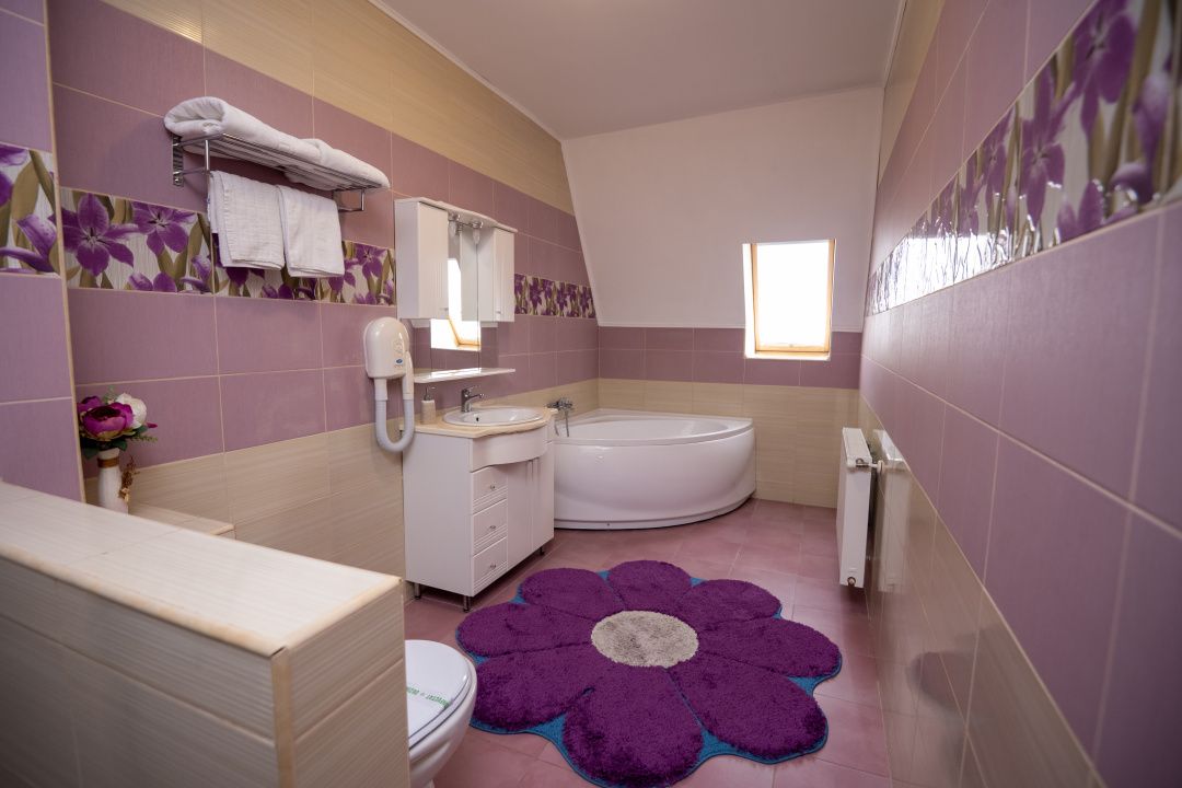 Hotel Miky Arad de vanzare | Investitie cu utilizari multiple | 42 camere cazare – fotografia 11 din 66