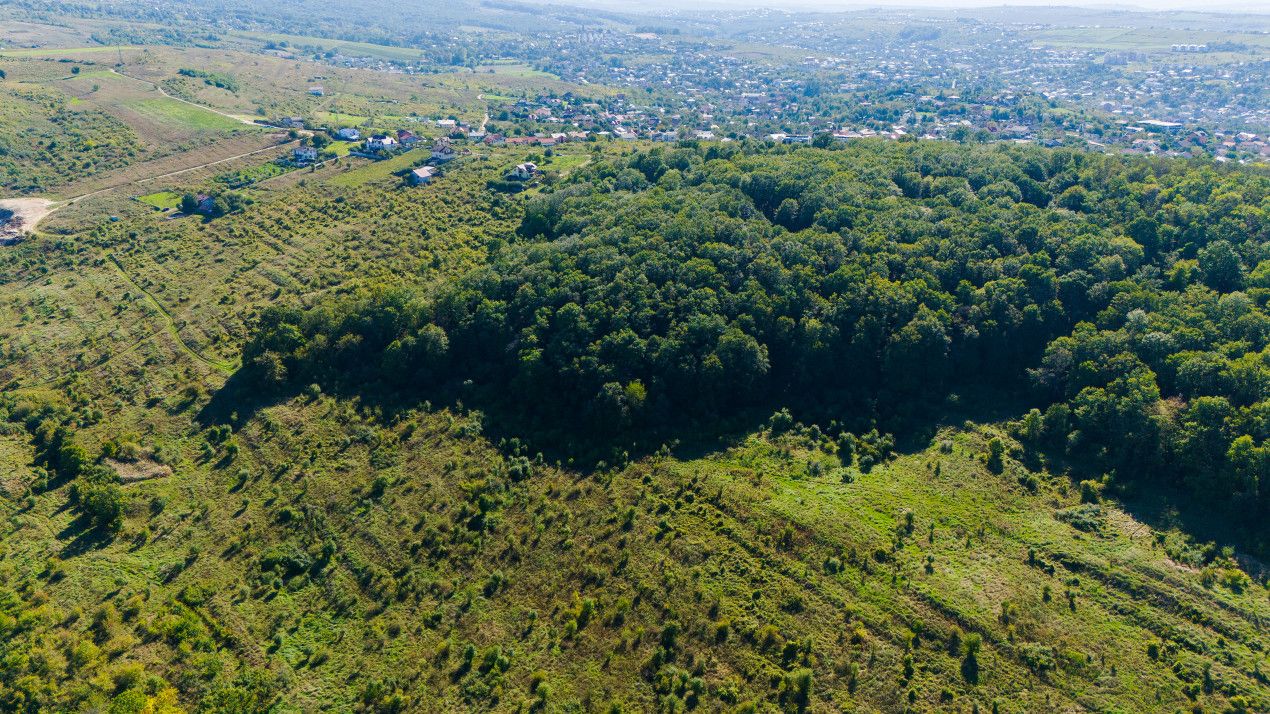Vânzare Teren Intravilan 11.3 Ha Bucium PUZ+CU valabile Case D+P+E+M – fotografia 6 din 7