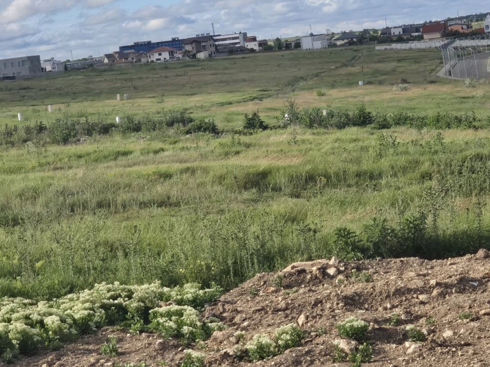 Teren de vanzare intravilan in Techirghiol zona Gradina Botanica – fotografia 1 din 12