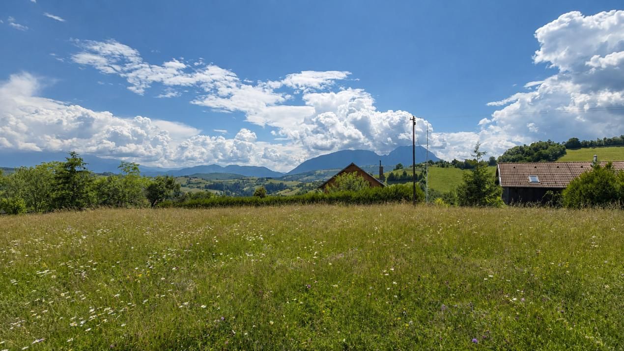 De vânzare teren de 8.544 mp în Poiana Mărului | Teren cu potențial – fotografia 2 din 10