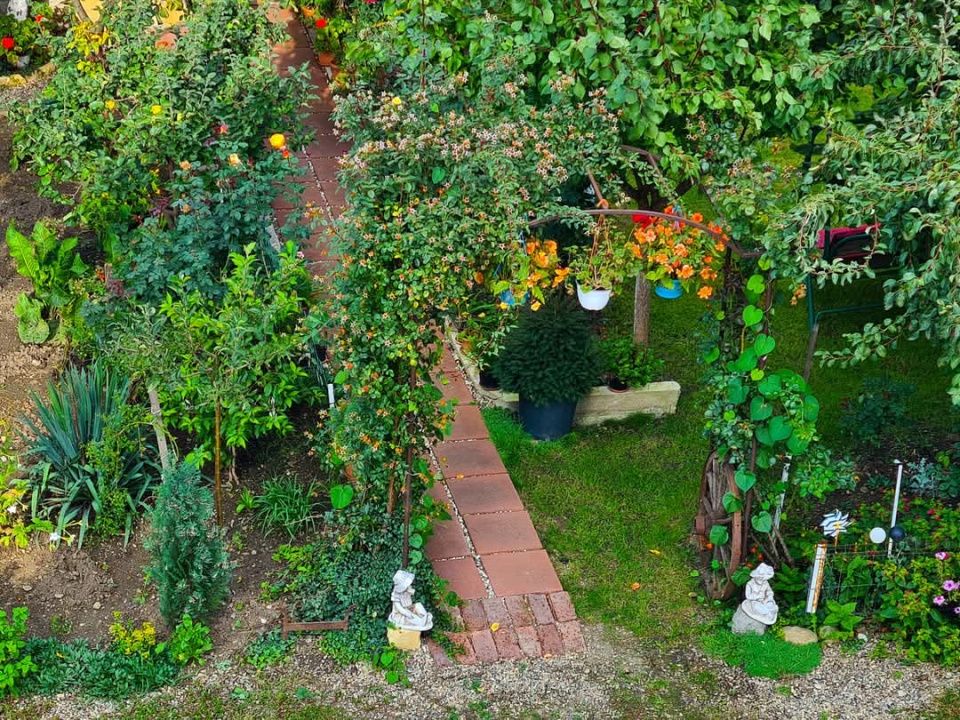 Casa unifamilială, 9 camere, 3 apartamente, 560mp teren – fotografia 3 din 13