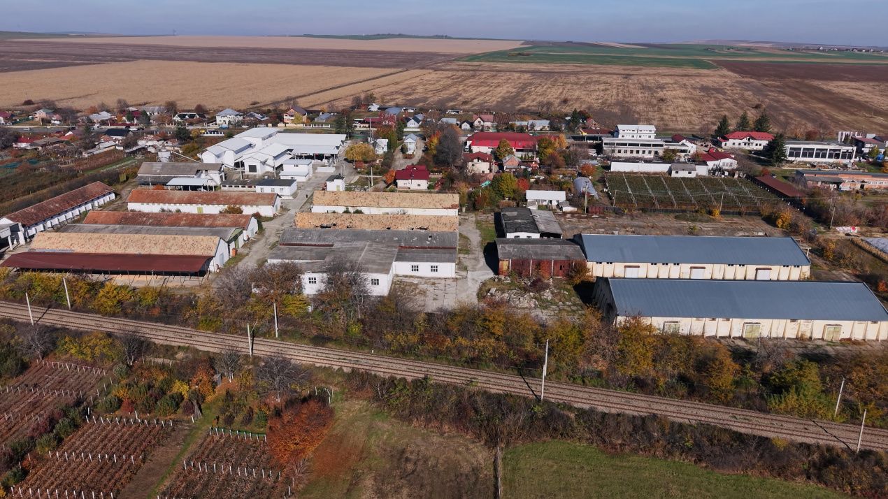 Complex Agroindustrial – Stație Uscare | Condiționare | Depozitare Seminte – fotografia 11 din 31
