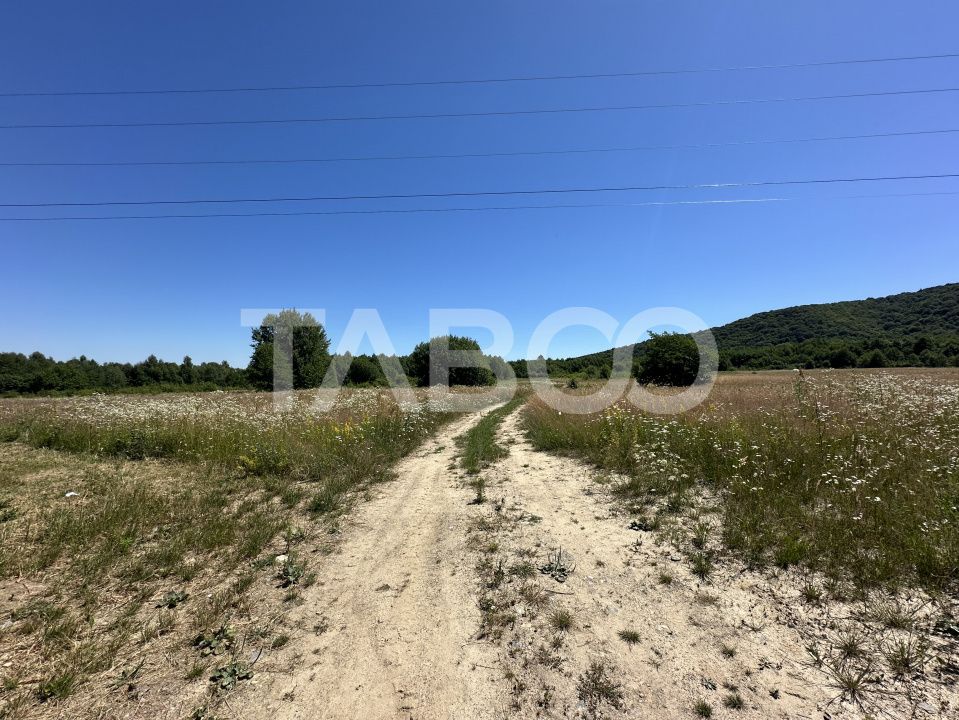 Teren extravilan 1900 mp cu utilitati in apropiere pe Valea Sebesului – fotografia 3 din 3