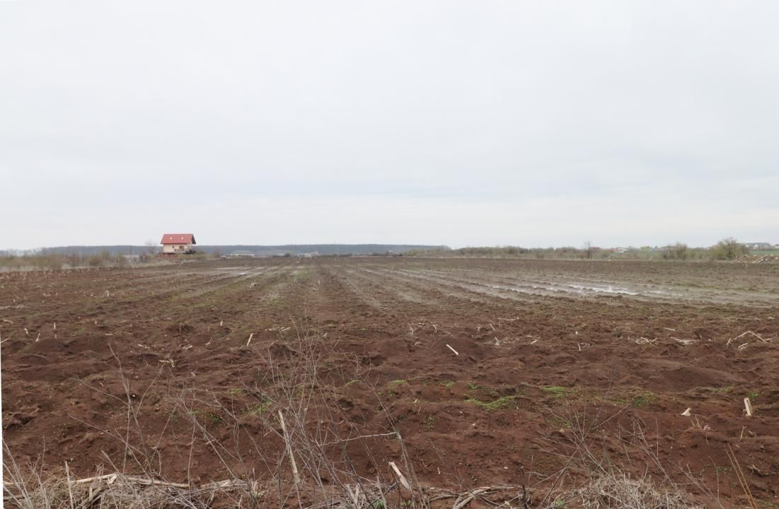 Teren 4000 mp lângă Pădurea Petrești | Investiție dezvoltare | Corbeanca – fotografia 6 din 7